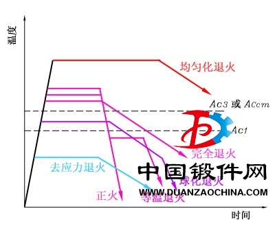 正火百科.jpg